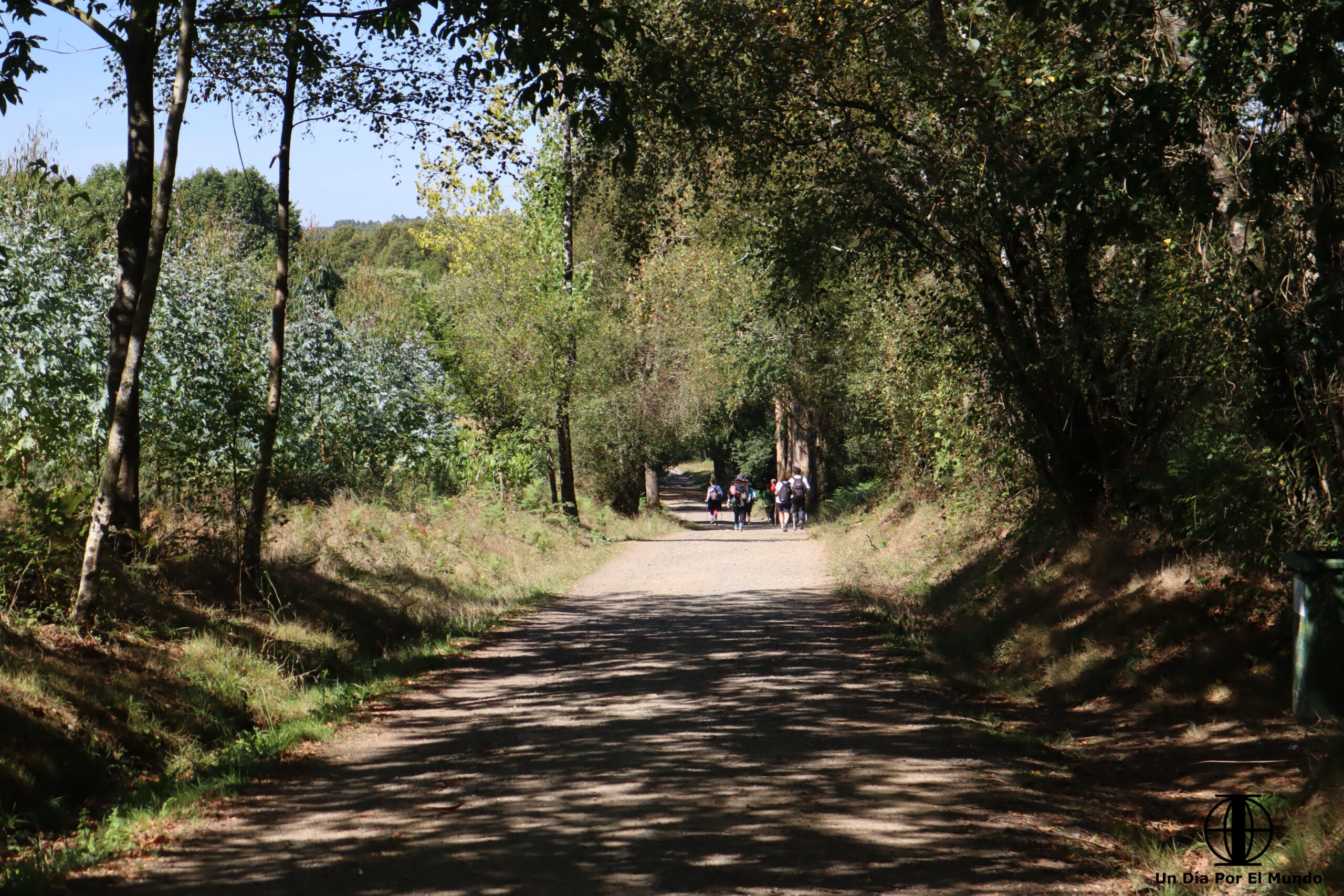 donde-empezar-camino-santiago