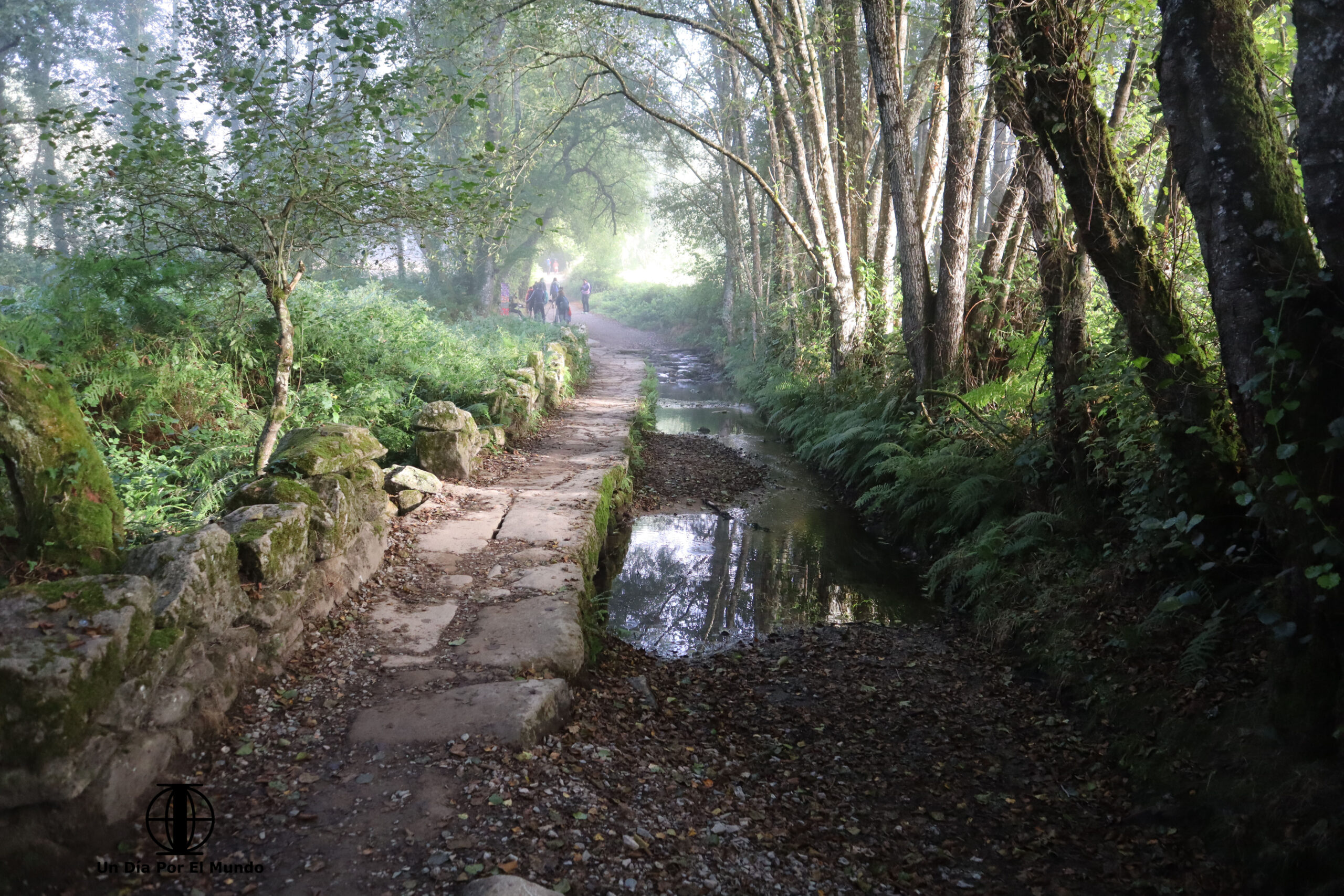 etapas-camino-primitivo