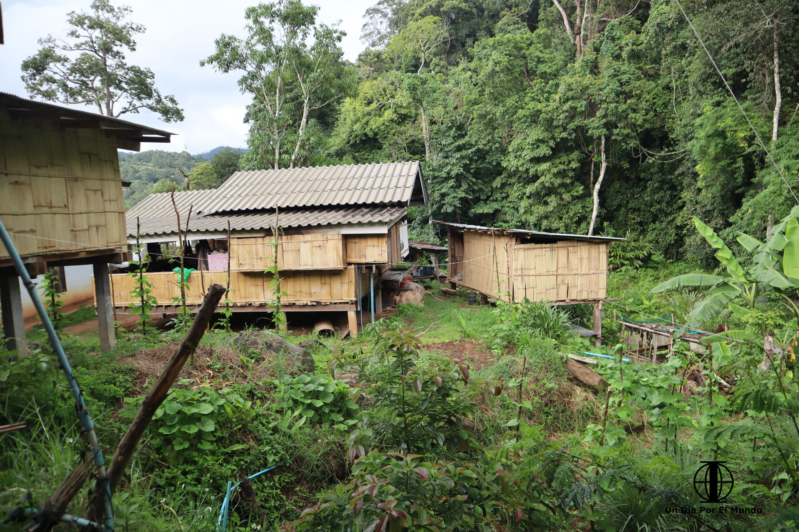 como-ir-de-chiang-mai-a-doi-inthanon